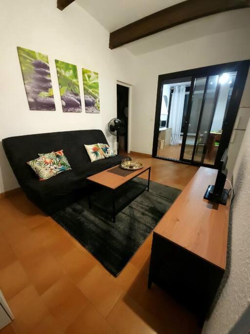 A 8 Mn A Pied Des Plages Appartement Avec Piscine Et Tennis Argelès-sur-Mer Extérieur photo